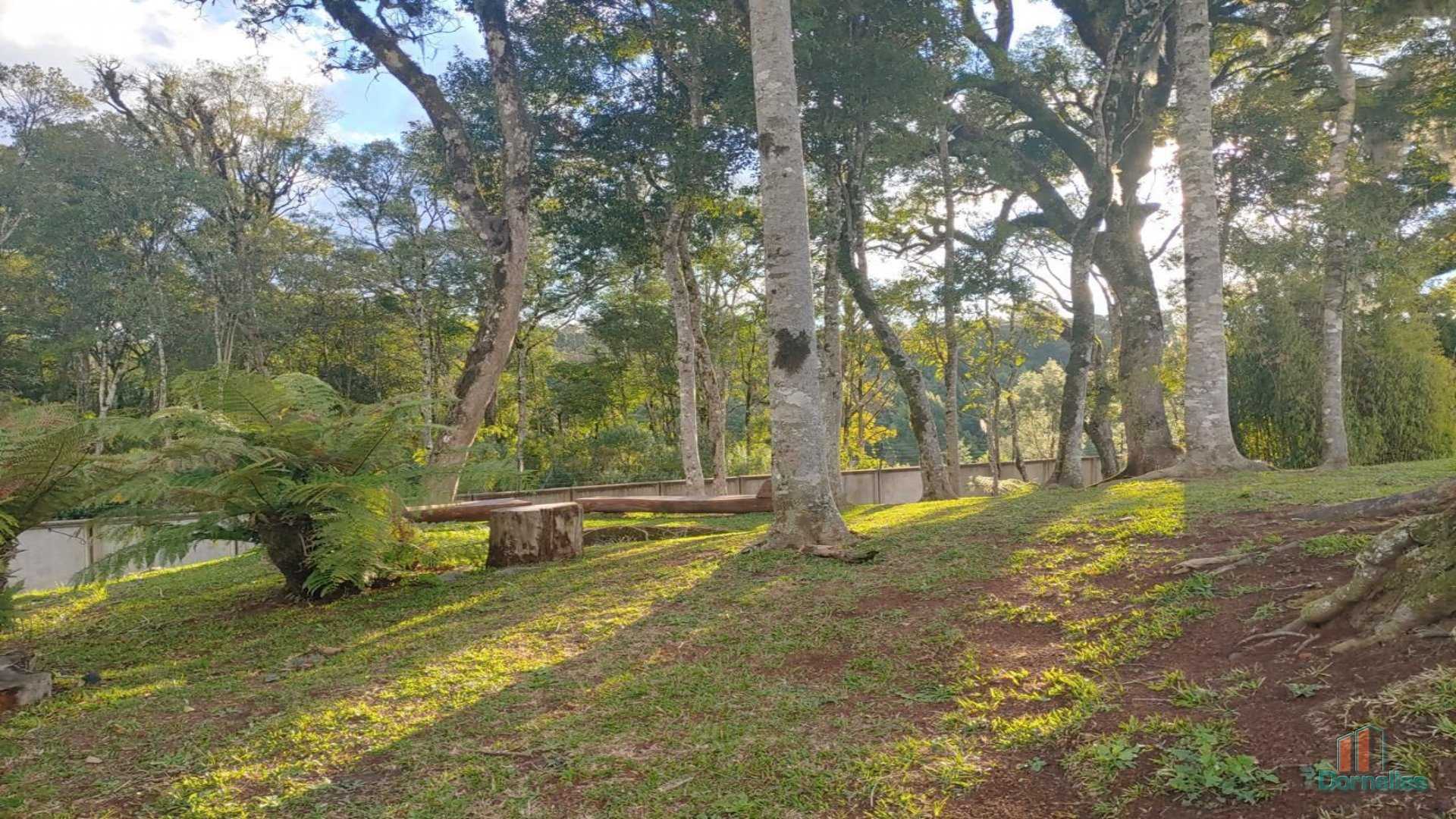 Imagem n° 10 do imóvel 14644