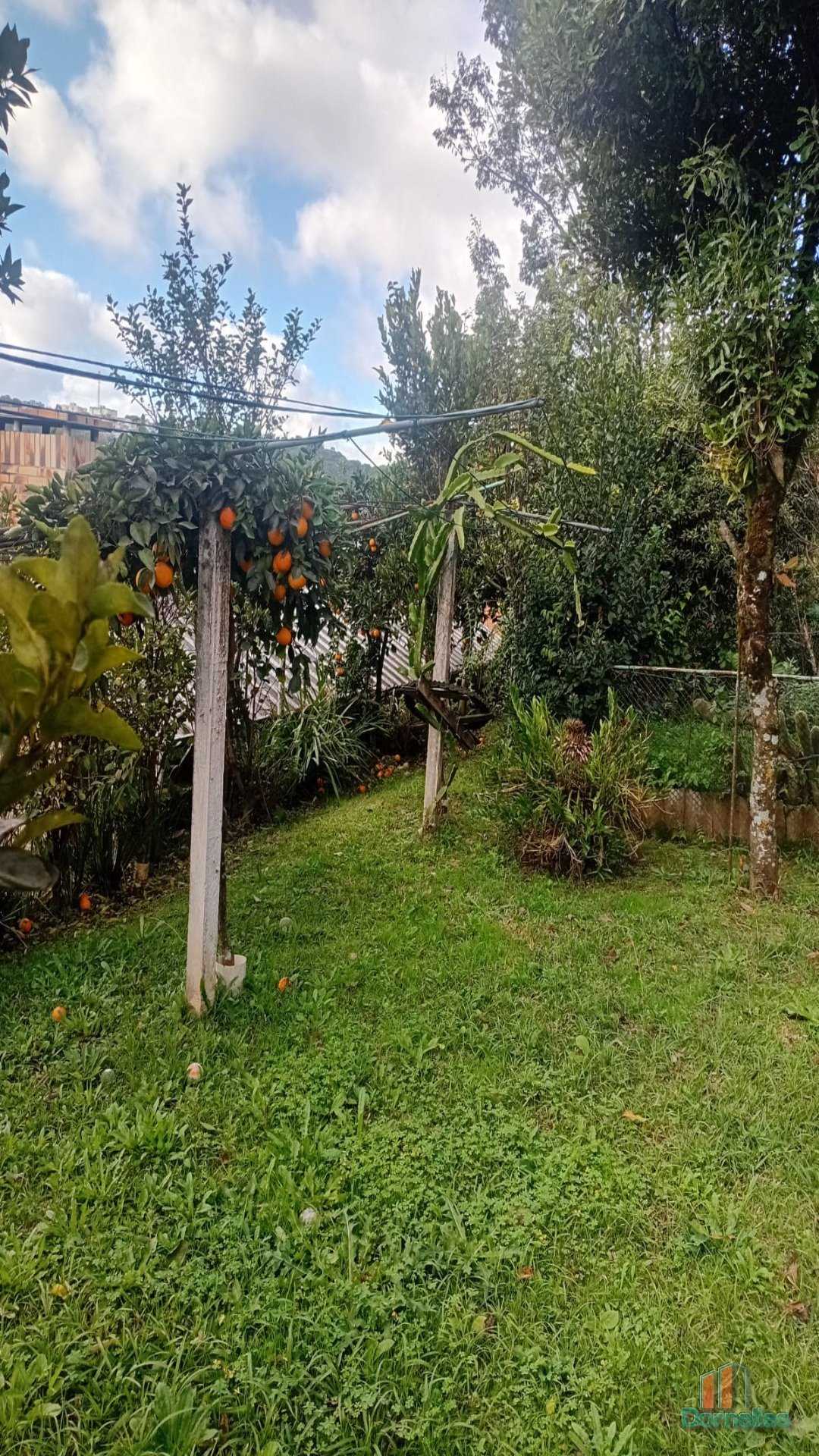 Imagem n° 4 do imóvel 14429