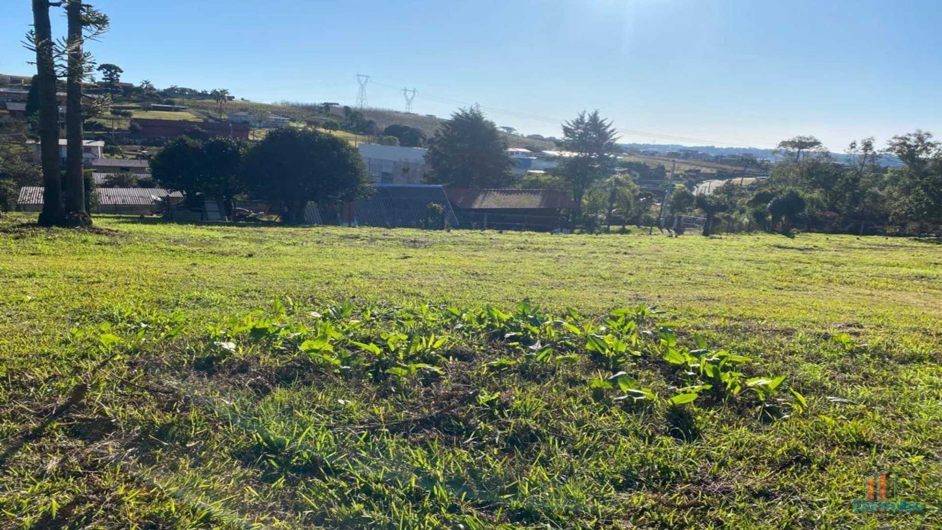 Imagem n° 5 do imóvel 14628