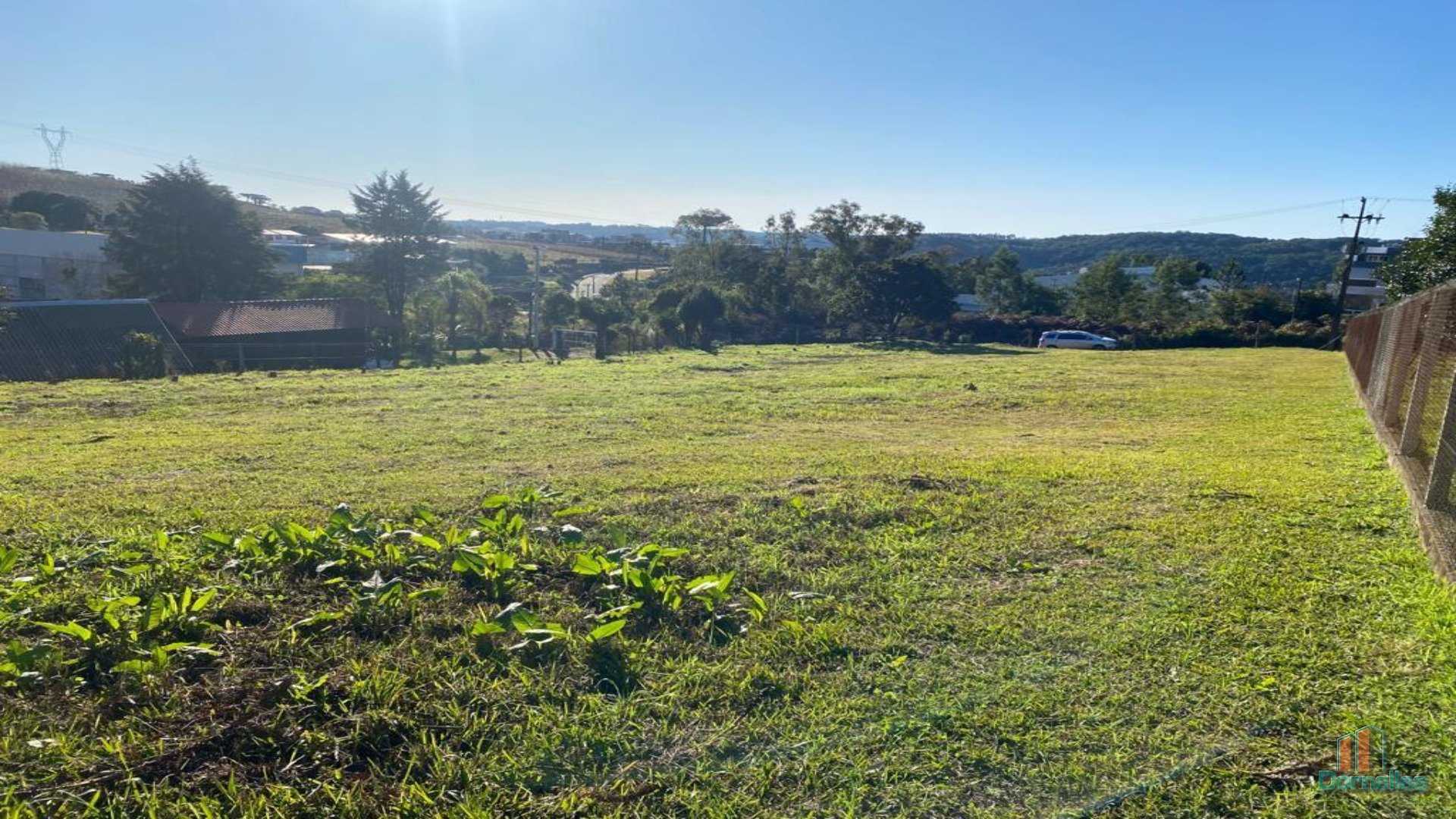 Imagem n° 7 do imóvel 14628