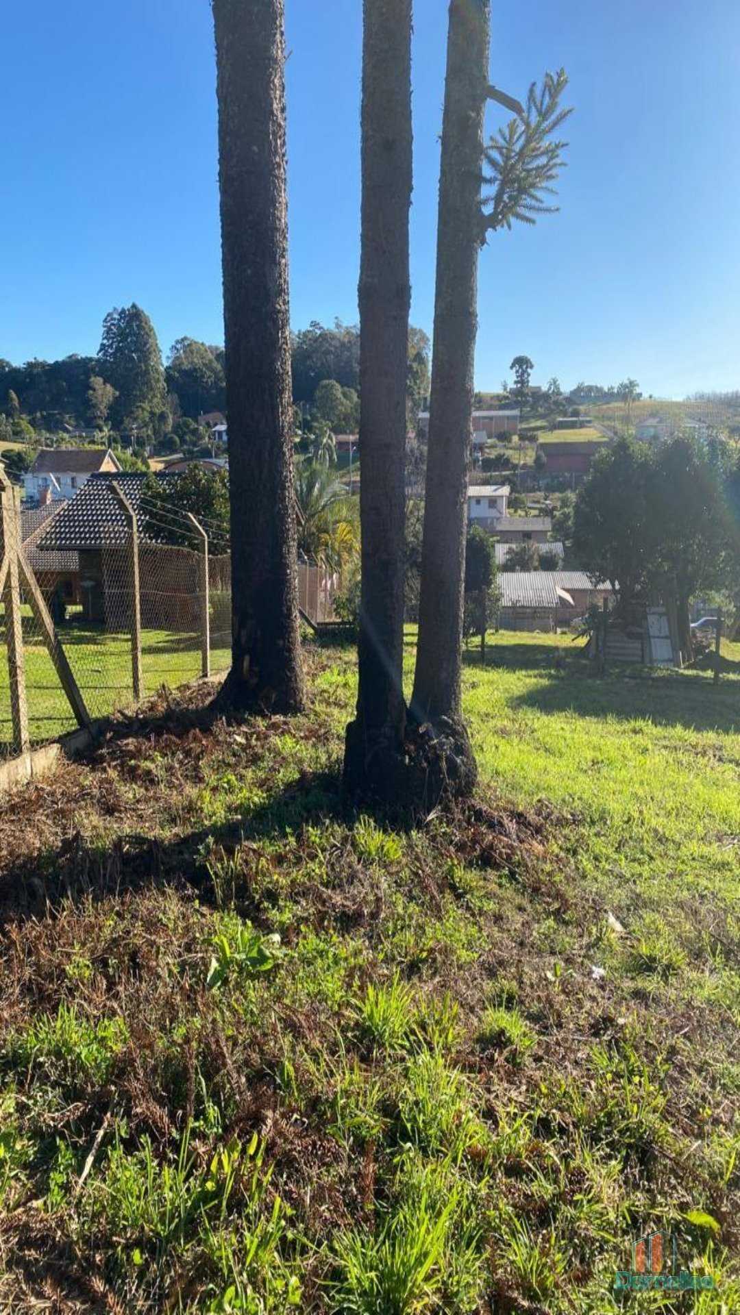 Imagem n° 8 do imóvel 14628