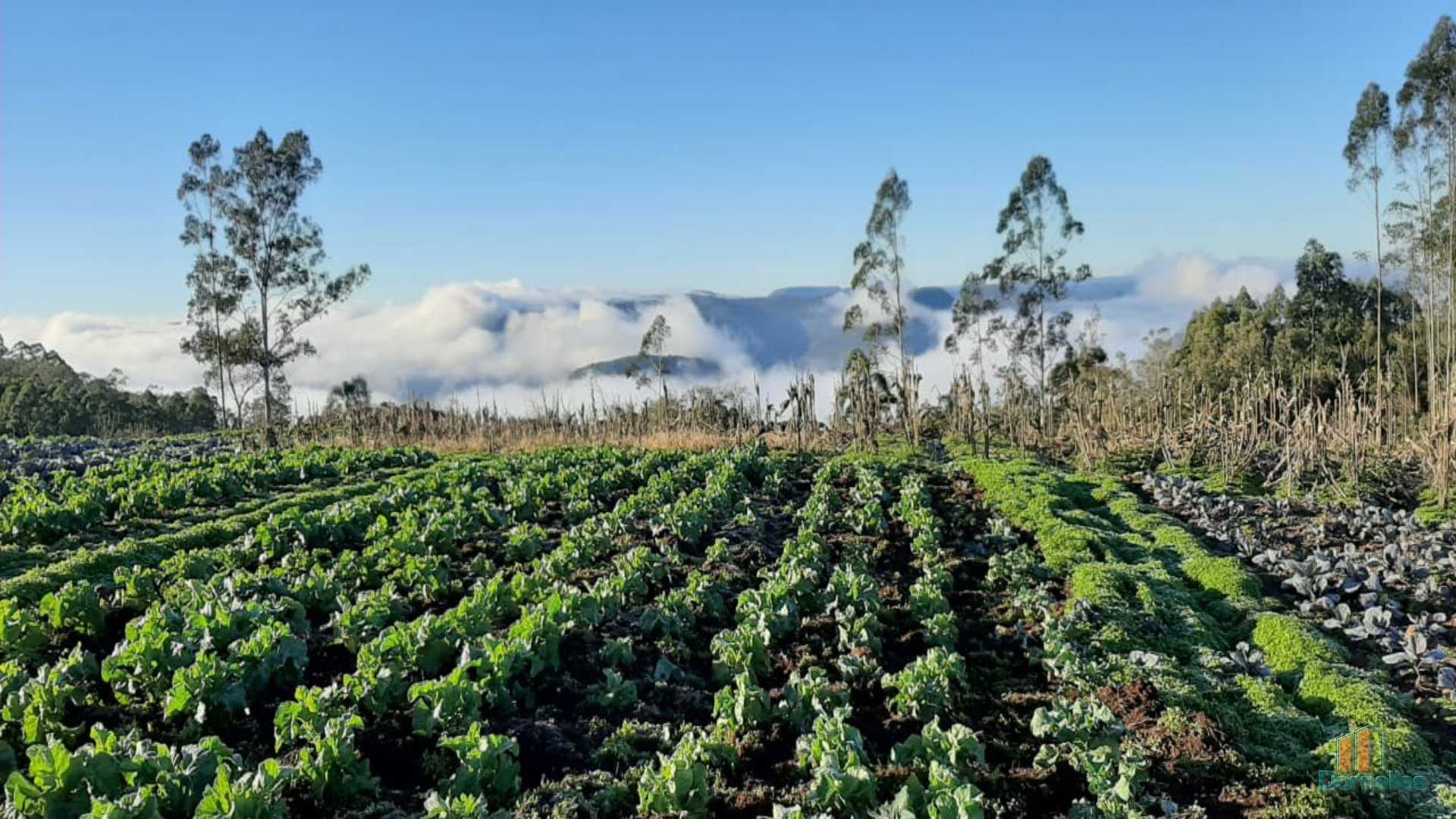 Imagem n° 4 do imóvel 14653