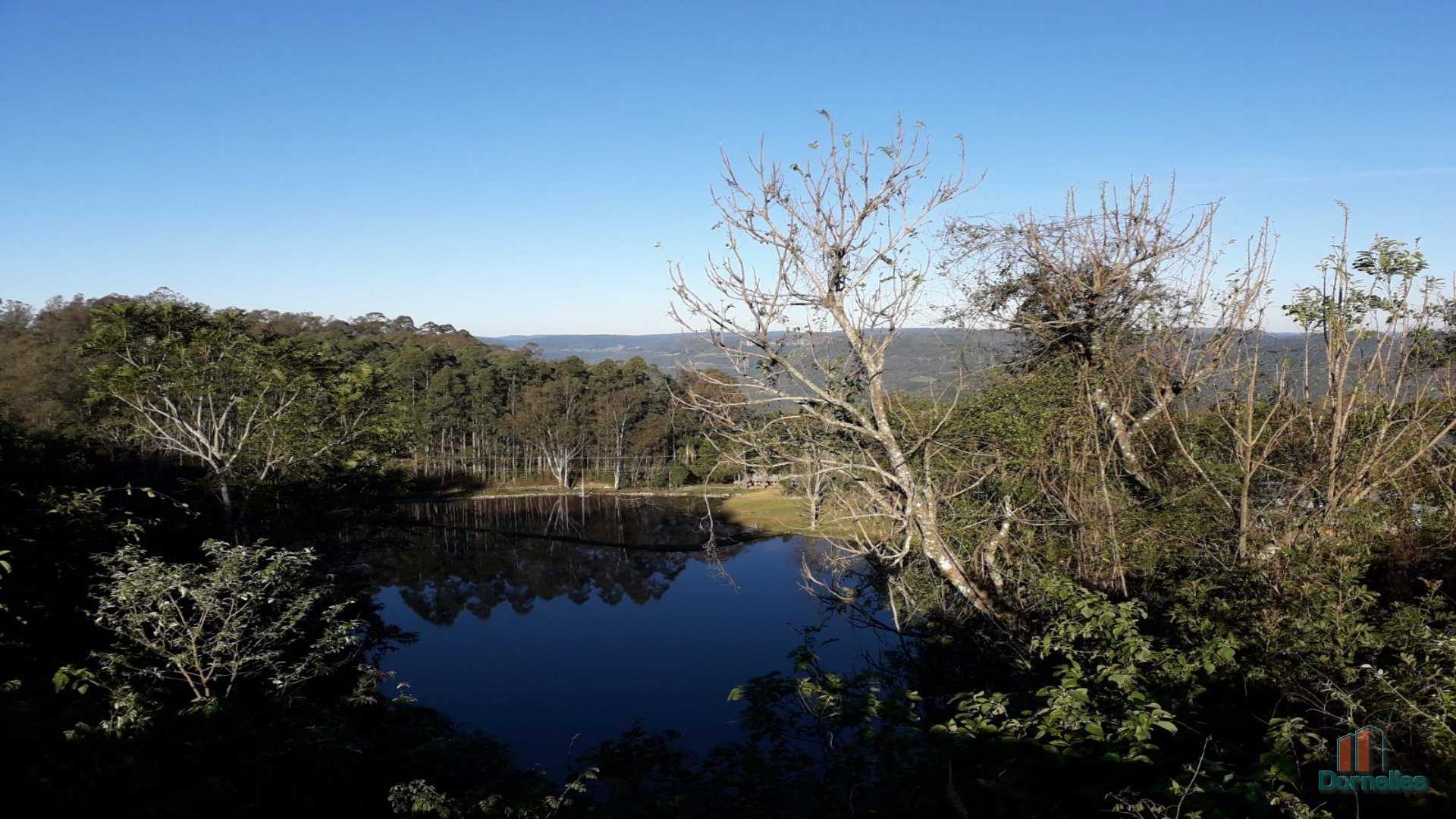 Imagem n° 5 do imóvel 14653