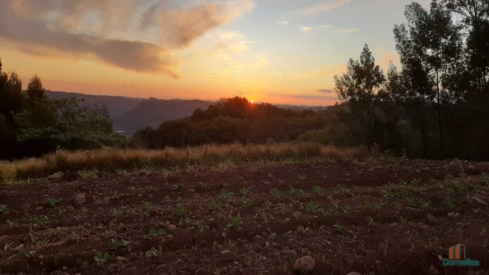 Imagem n° 6 do imóvel 14653