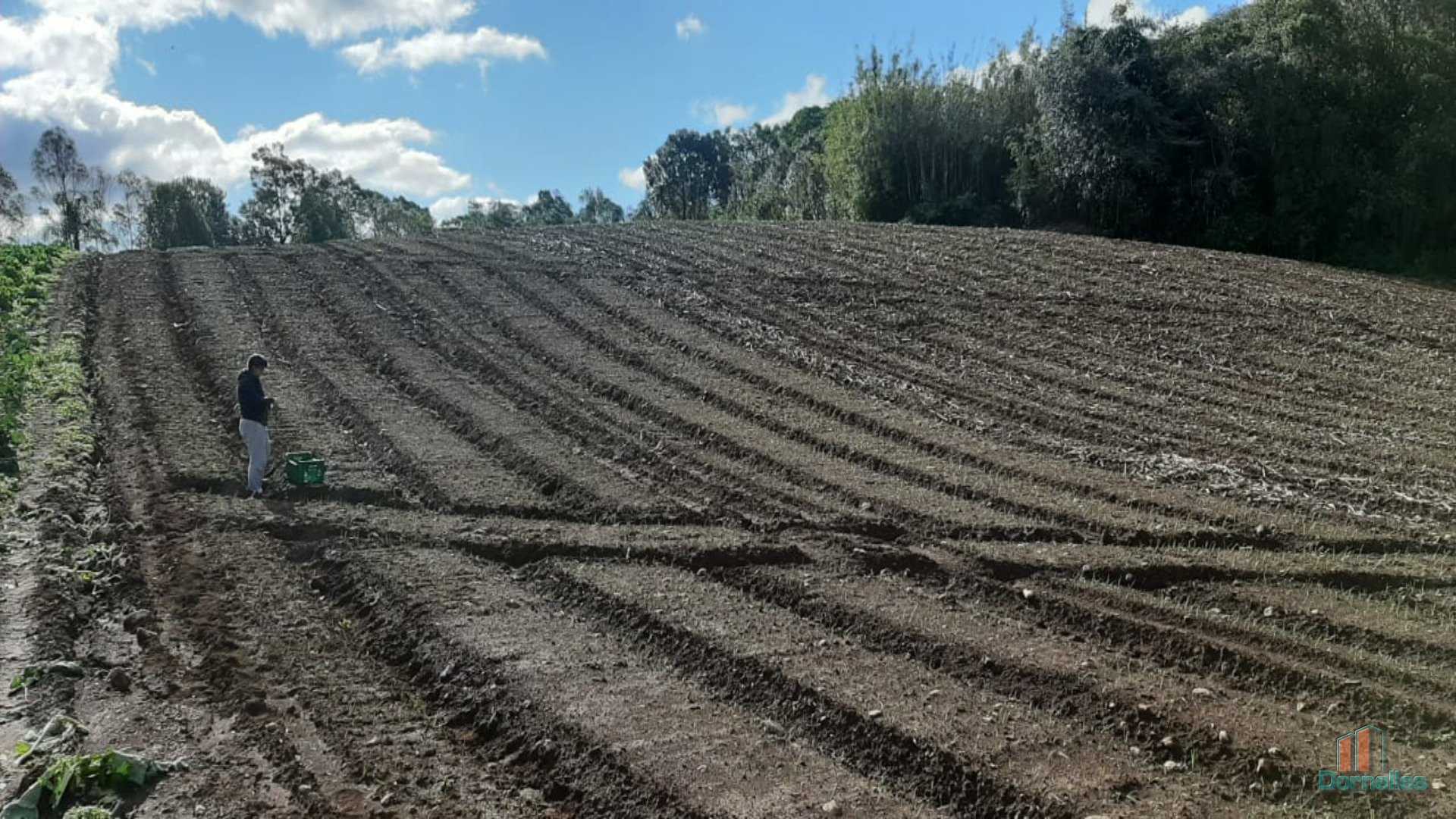 Imagem n° 13 do imóvel 14653