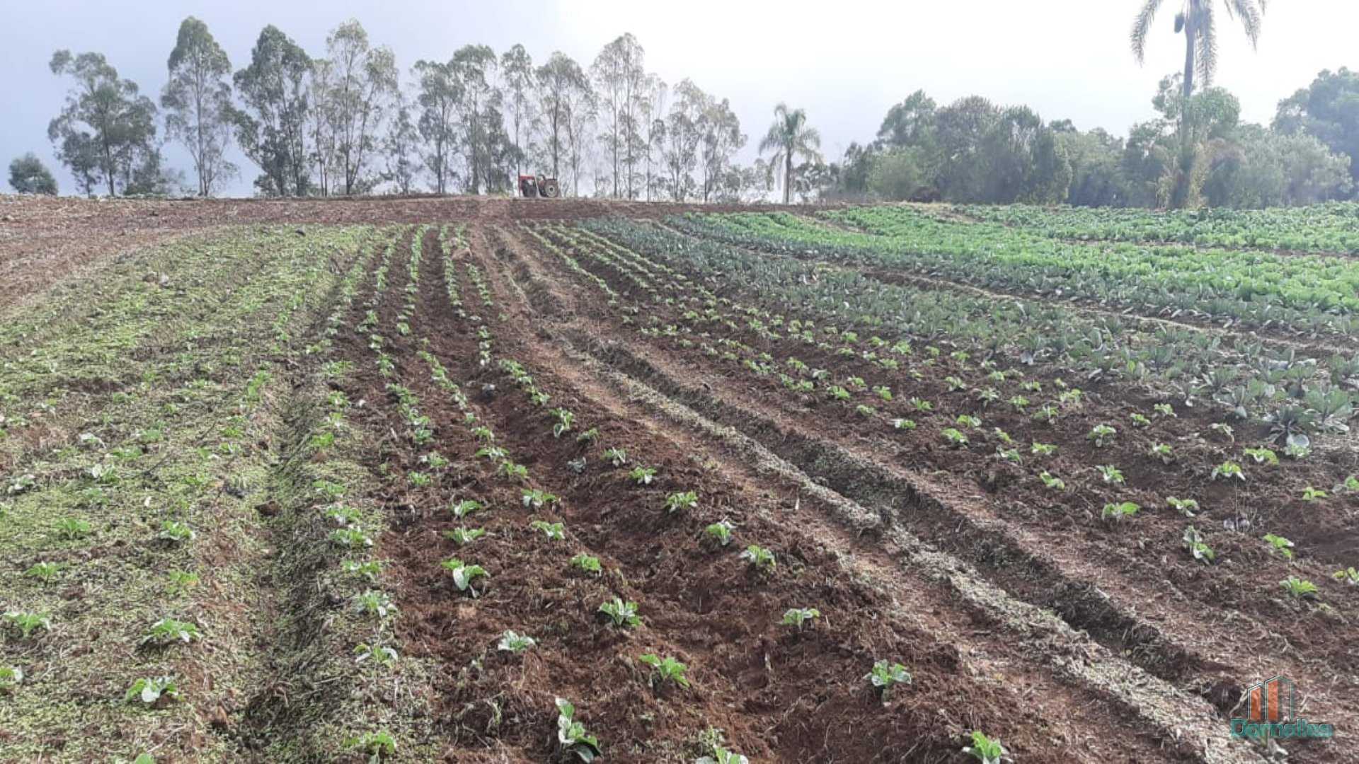 Imagem n° 14 do imóvel 14653