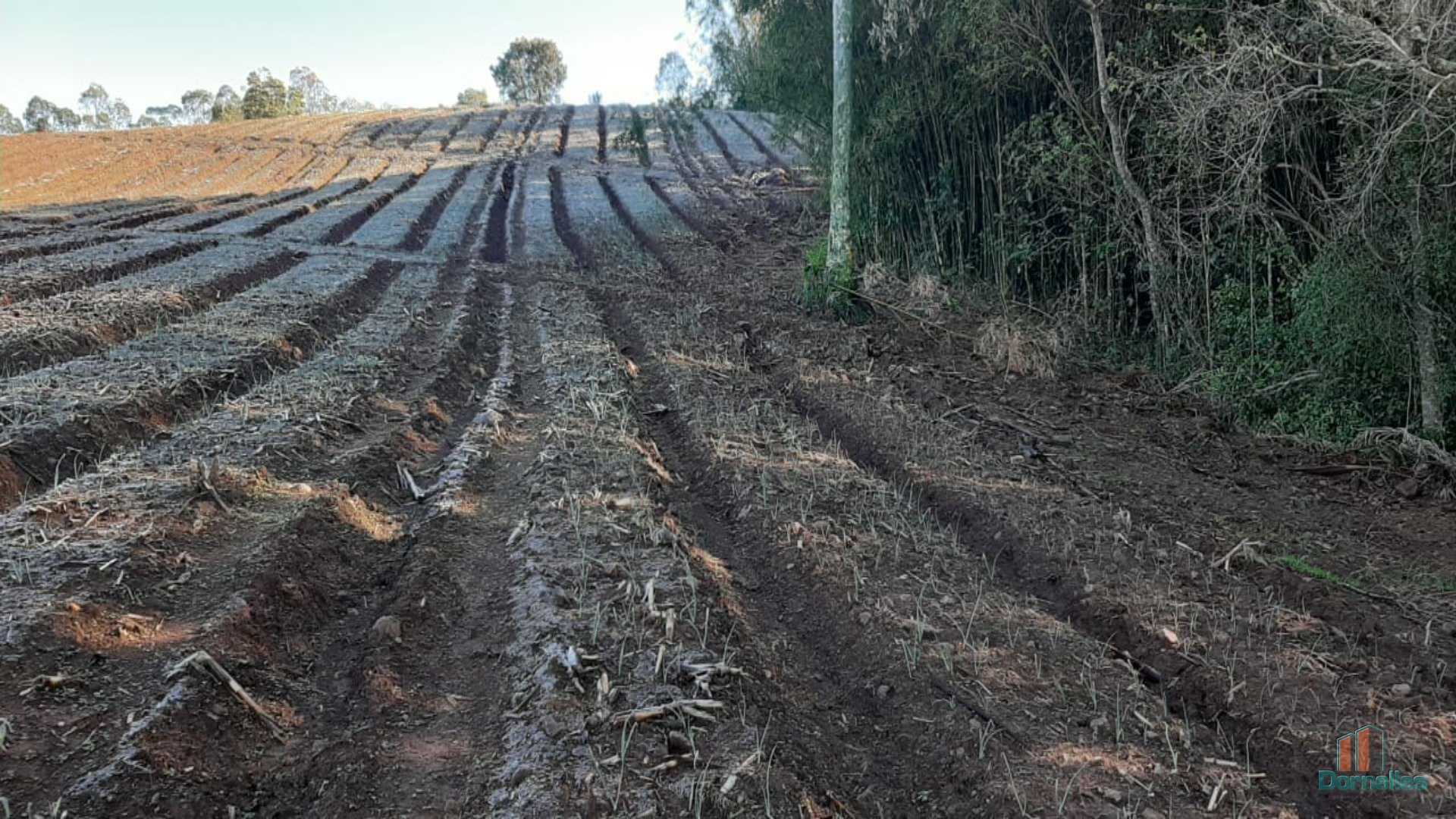 Imagem n° 15 do imóvel 14653