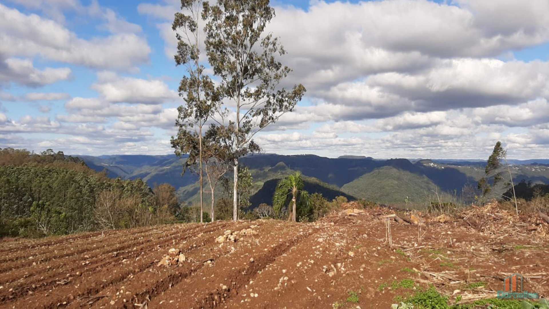 Imagem n° 16 do imóvel 14653