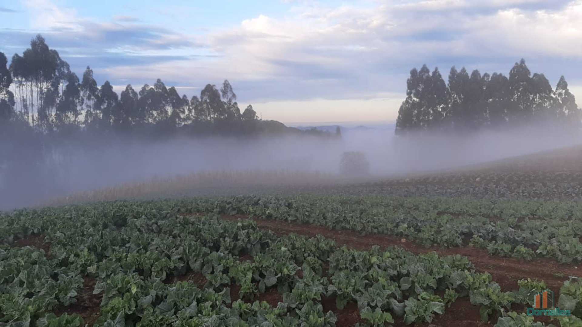 Imagem n° 24 do imóvel 14653