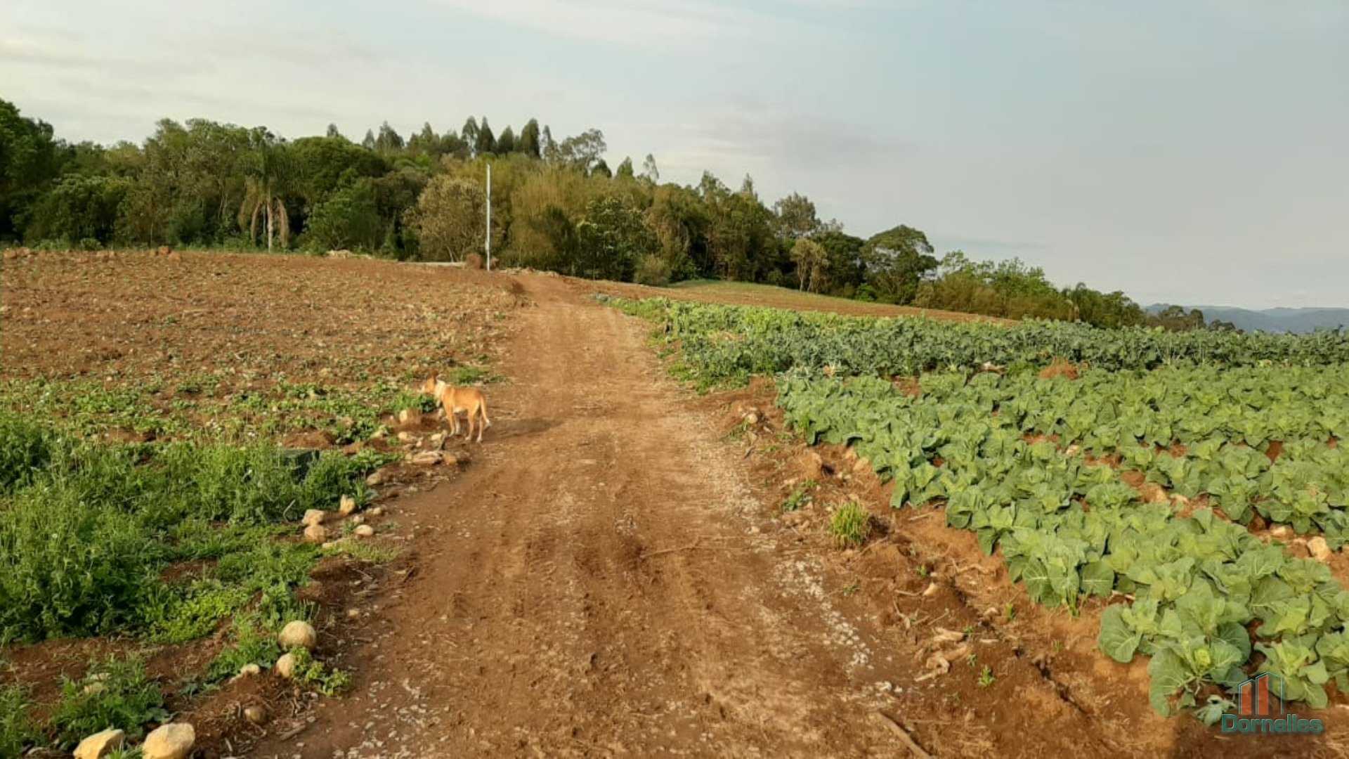 Imagem n° 28 do imóvel 14653