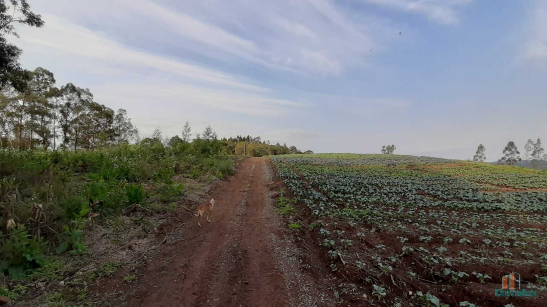 Imagem n° 33 do imóvel 14653